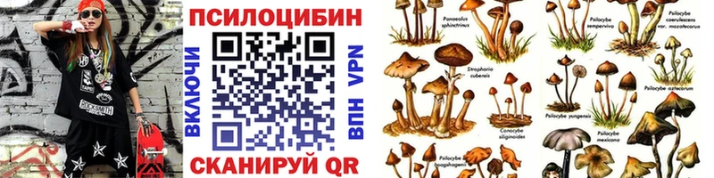 Псилоцибиновые грибы мухоморы  Купить  Десногорск 