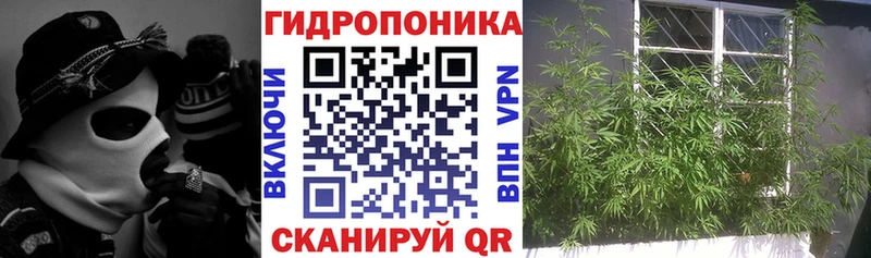 Купить Десногорск Каннабис марихуана